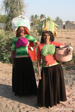 femmes dans les champs, rajasthan