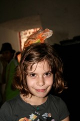iguane.jpg